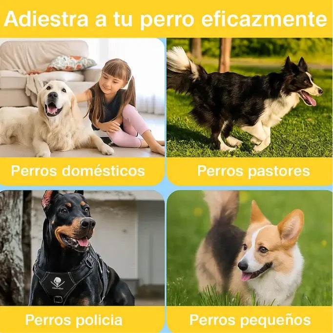 ENTRENADOR CANINO ULTRASÓNICO- CAMINA CON SEGURIDAD DONDE SEA QUE ESTÉS