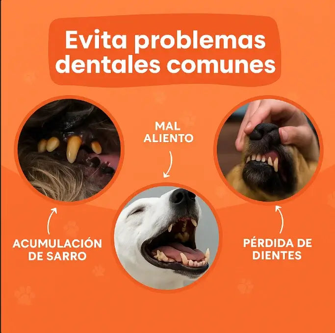 TOALLITAS DENTALES PARA PERROS Y GATOS – Pack x50 🦷HIGIENE BUCAL FÁCIL, SEGURO Y SIN ESTRÉS.