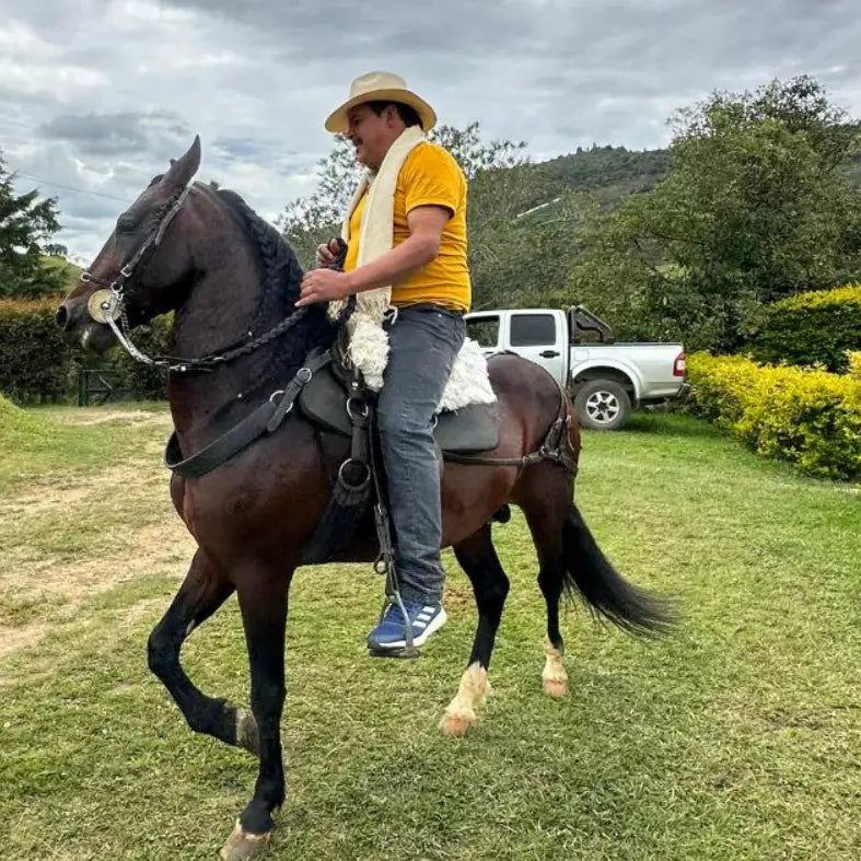 <em>Francisco D (45 años)- Medellín</em>