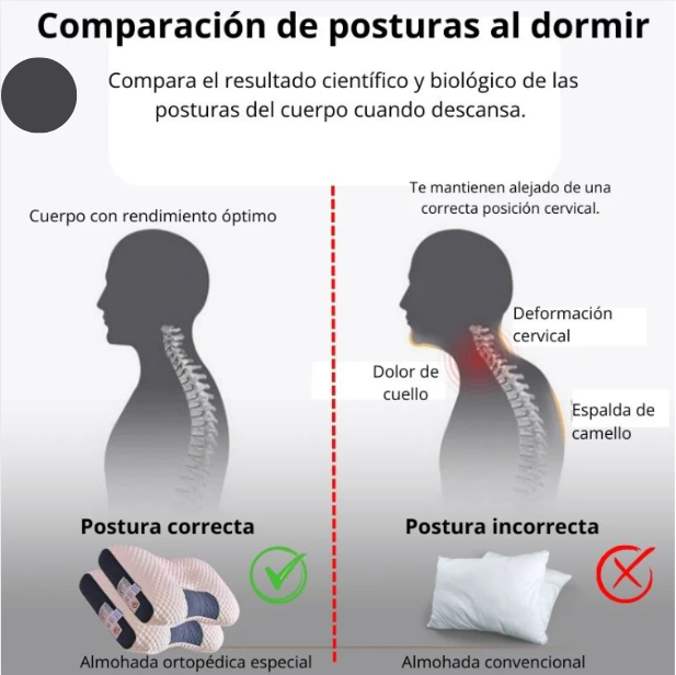 COMBO ALMOHADAS ORTOPÉDICAS