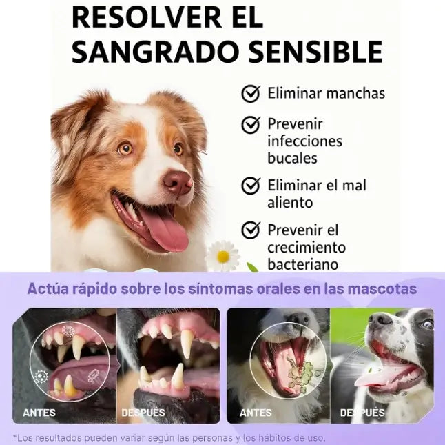 HAPPY PETS - CUIDADO BUCAL PARA MASCOTAS🎀