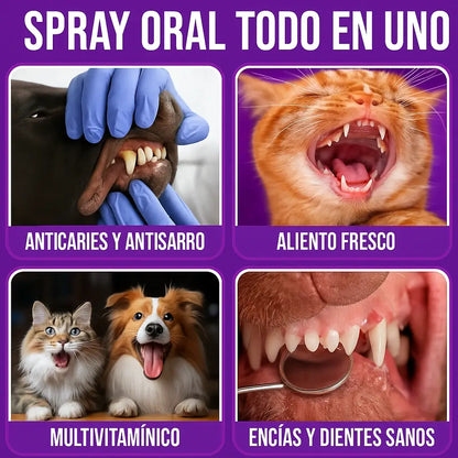 HAPPY PETS - CUIDADO BUCAL PARA MASCOTAS🎀