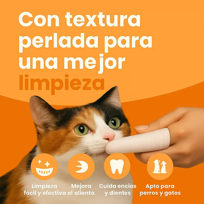 TOALLITAS DENTALES PARA PERROS Y GATOS – Pack x50 🦷HIGIENE BUCAL FÁCIL, SEGURO Y SIN ESTRÉS.