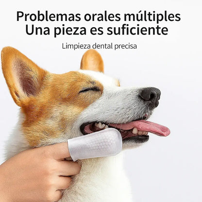 TOALLITAS DENTALES PARA PERROS Y GATOS – Pack x50 🦷HIGIENE BUCAL FÁCIL, SEGURO Y SIN ESTRÉS.