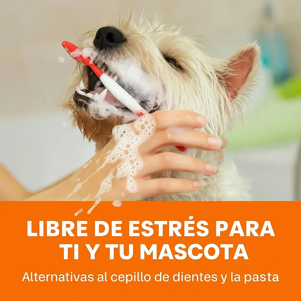 TOALLITAS DENTALES PARA PERROS Y GATOS – Pack x50 🦷HIGIENE BUCAL FÁCIL, SEGURO Y SIN ESTRÉS.