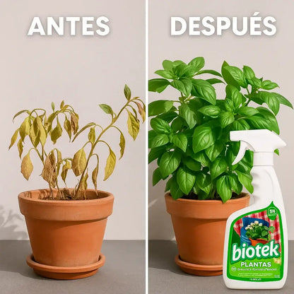 🌱 BIOTEK®  – ALIMENTO NATURAL PARA PLANTAS.  Revive, nutre y protege tus plantas con una fórmula 100% orgánica y certificada.